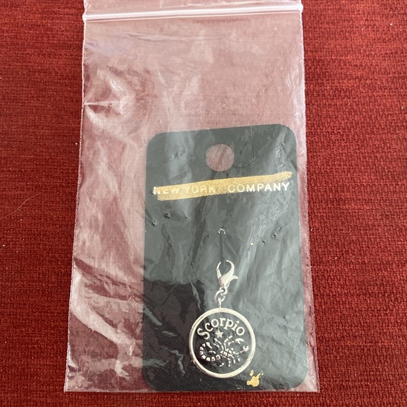 🆕NWT NEW YORK AND COMPANY: Discontinued Name Brand- Silver Scorpio ♏️ Charm - Picture 6 of 6